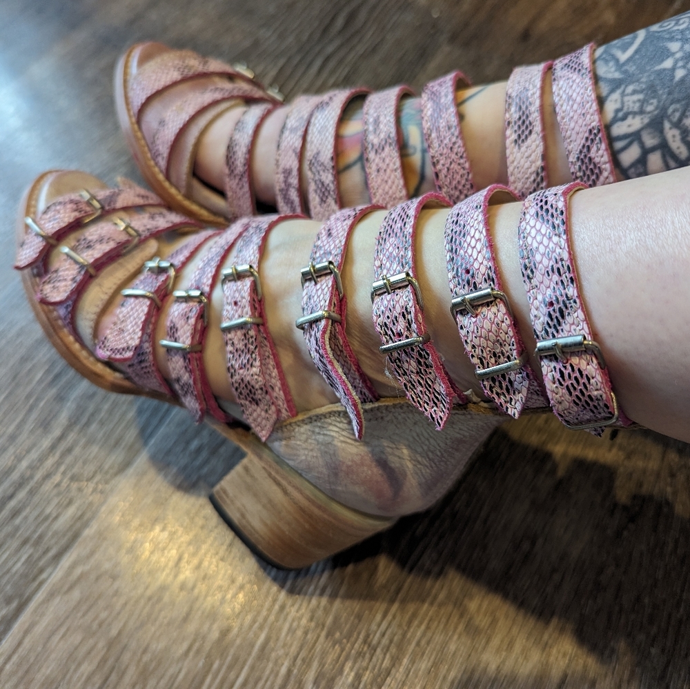 Freebird by Steve Madden